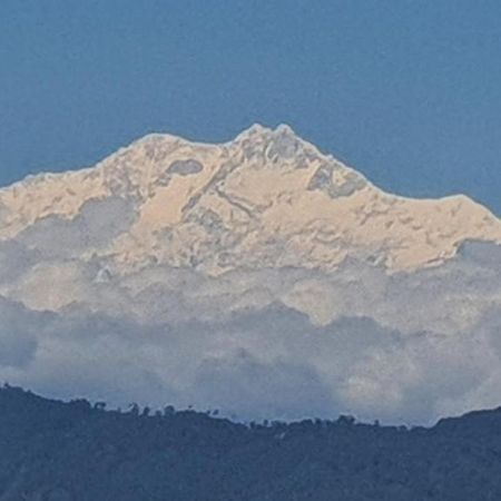 New Bloom Homestay Kurseong ภายนอก รูปภาพ