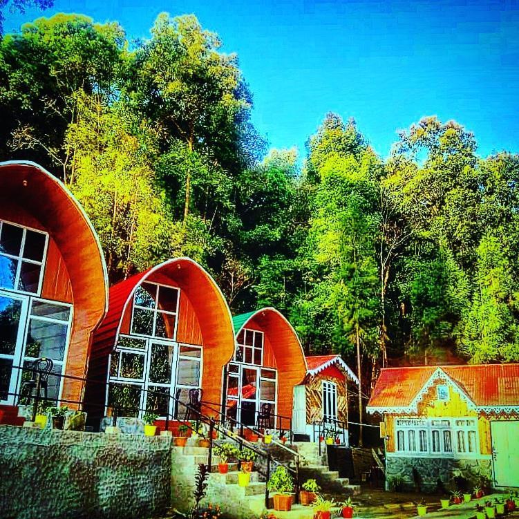 New Bloom Homestay Kurseong ภายนอก รูปภาพ
