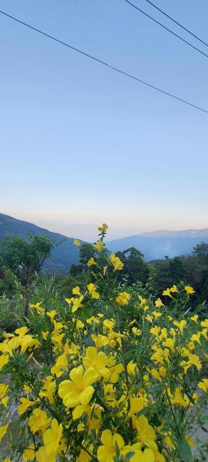 New Bloom Homestay Kurseong ภายนอก รูปภาพ