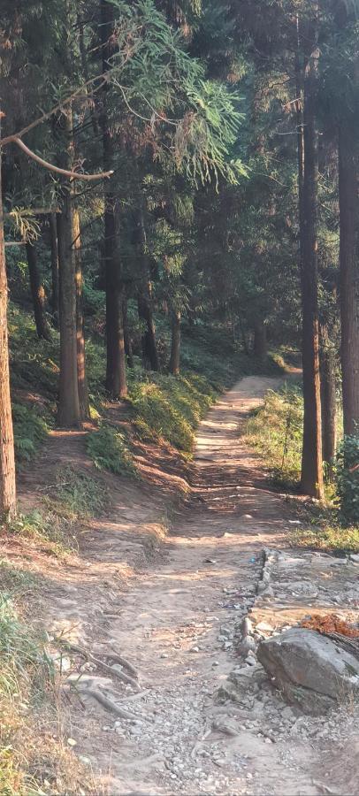 New Bloom Homestay Kurseong ภายนอก รูปภาพ